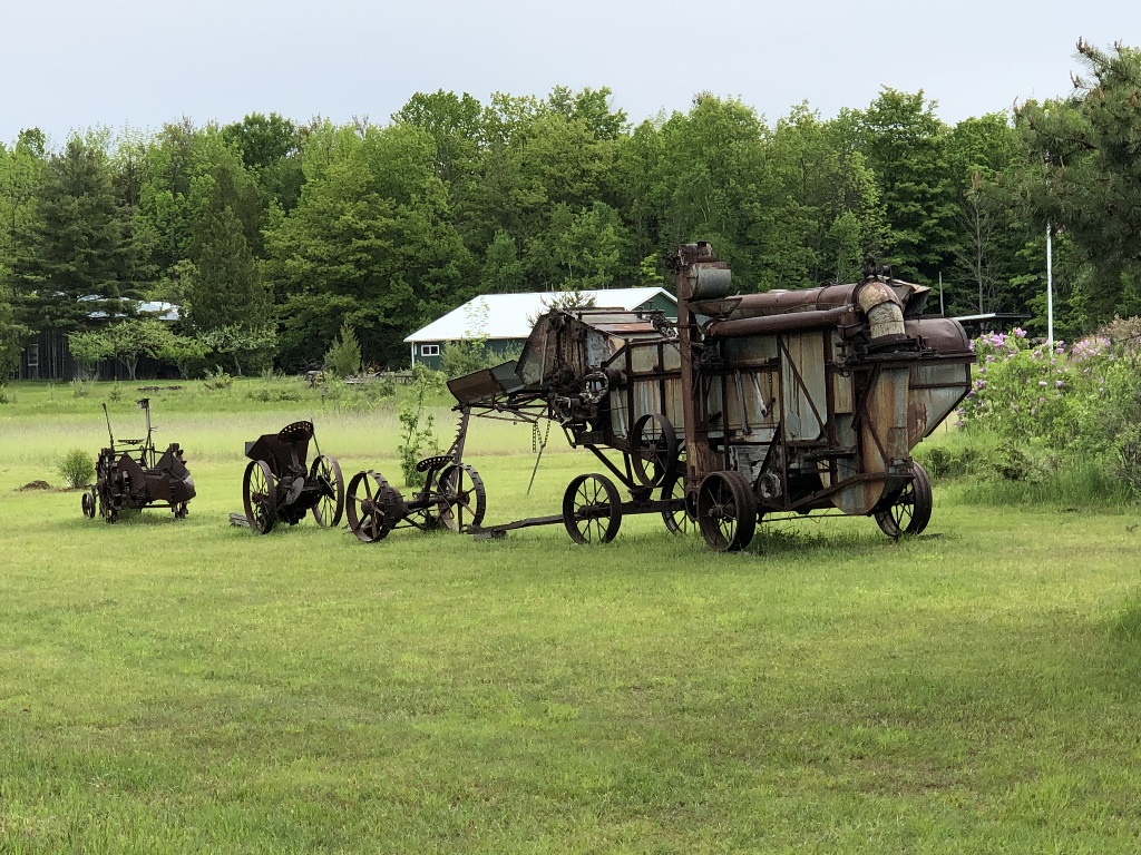 Tunnel Of Trees Michigan Fall 2023